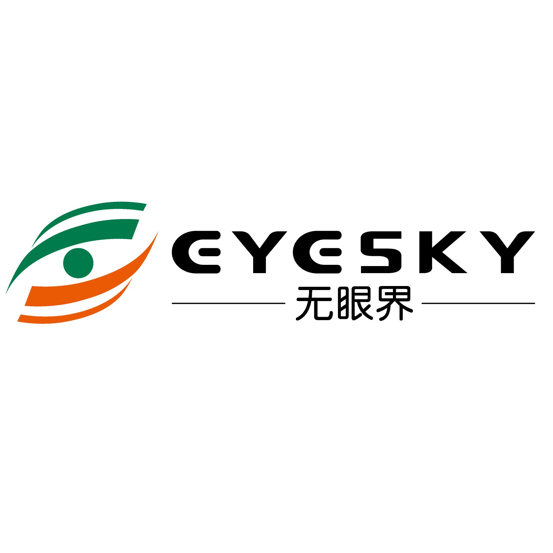 Shenzhen Wujian Vision Technology Co., Ltd - Company Logo