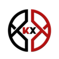 上海科兴仪器有限公司