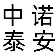 北京中诺泰安科技有限公司 - 公司logo