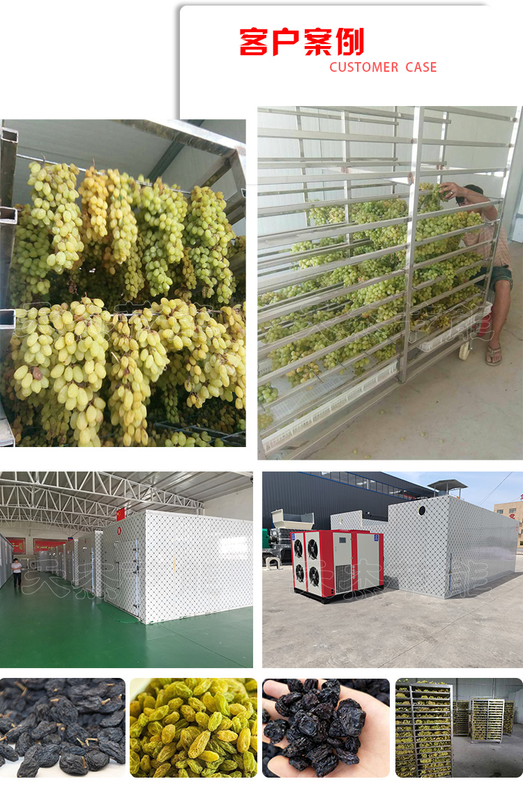 葡萄干加工设备市场价格 天杰节能 大型箱式热泵烘干机
