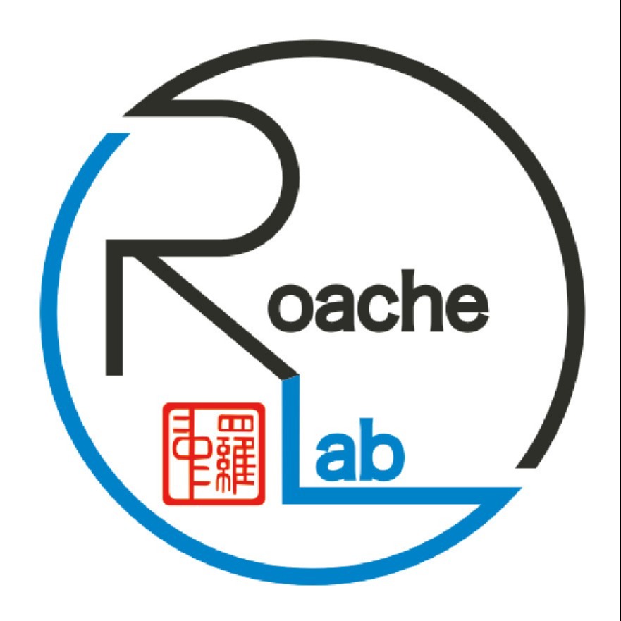 上海罗中科技发展有限公司