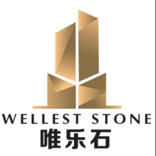 深圳市唯乐思实业发展有限公司 - 公司logo