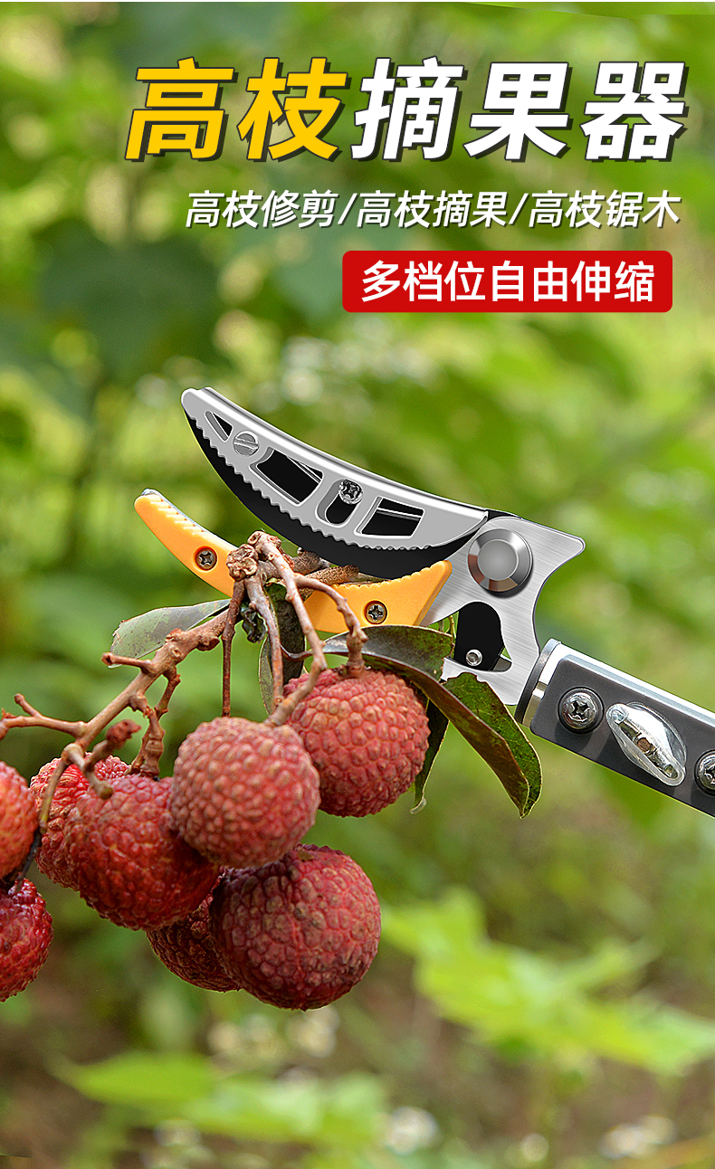 摘果神器修枝剪伸缩高空摘水果剪刀加长采摘器荔枝果子龙眼高枝剪
