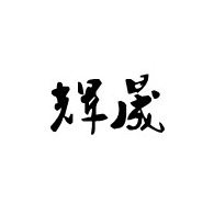 河北辉晟管道配件有限公司 - 公司logo