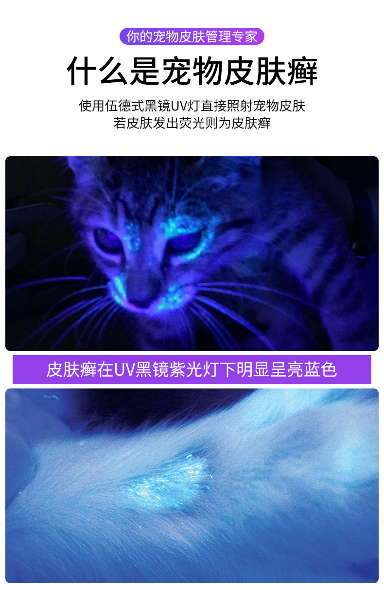 伍德氏灯照猫藓猫尿真菌检测紫外线手电筒荧光剂365nm紫光验钞灯