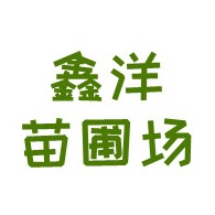 博野县鑫洋苗圃场 - 公司logo