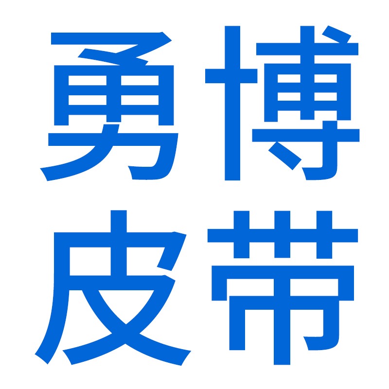 合肥勇博输送皮带有限公司 - 公司logo