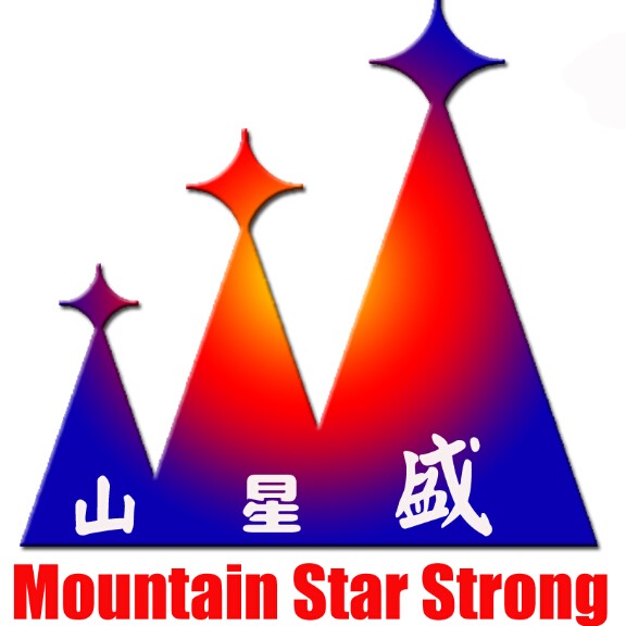 深圳市山星盛电子科技有限公司