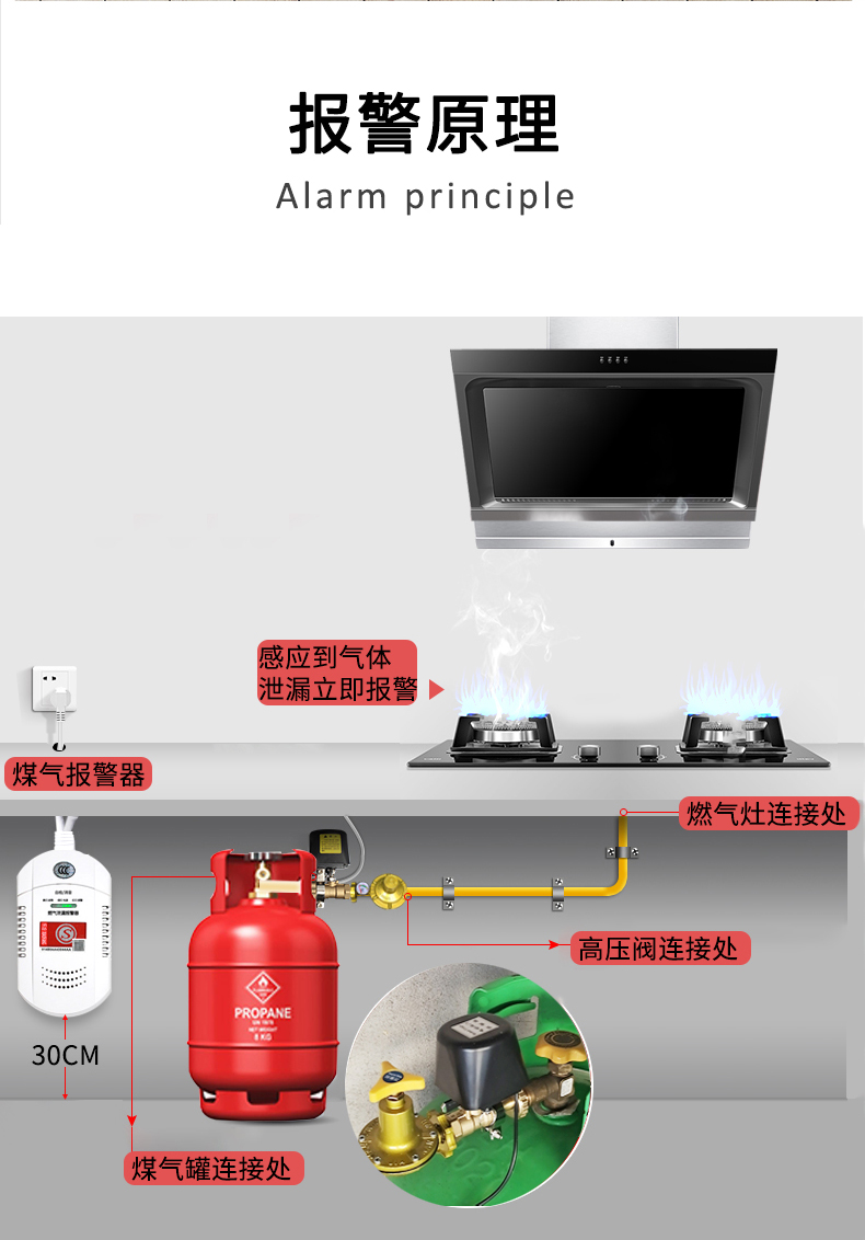 煤气罐漏气报警器饭店用厨房液化气泄漏切断阀燃气煤气自动断气阀