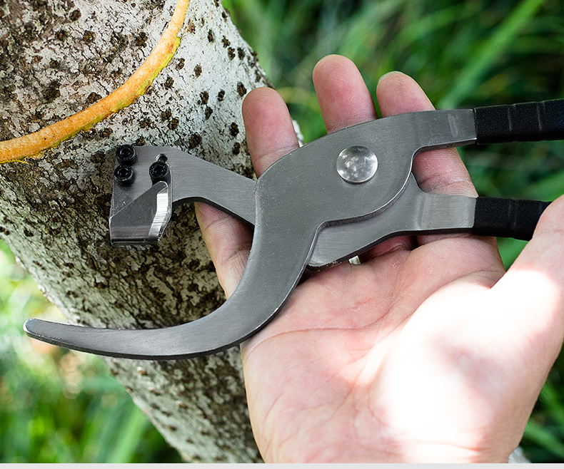 环割刀果树柑橘枣葡萄树老树皮剥皮刀开甲刀环割放水荔枝环剥器剪