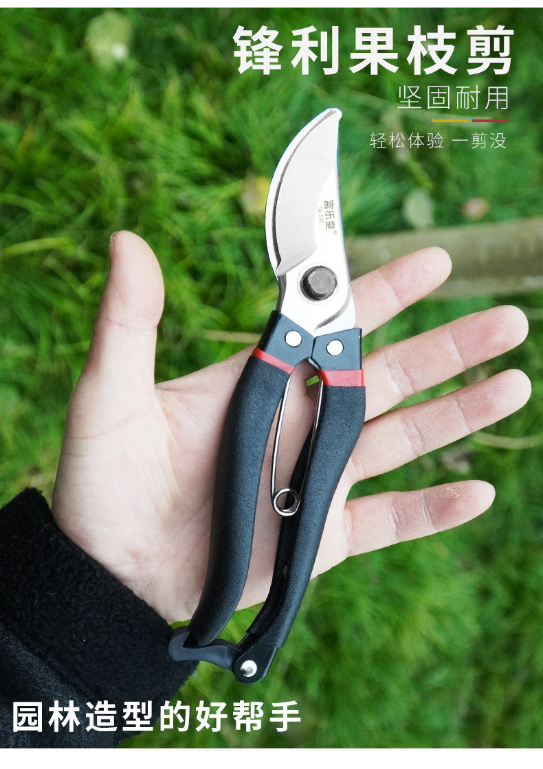 剪枝果树修枝剪刀园艺修剪树枝园林省力修花剪家用进口手动剪子