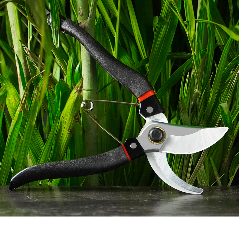 剪枝果树修枝剪刀园艺修剪树枝园林省力修花剪家用进口手动剪子