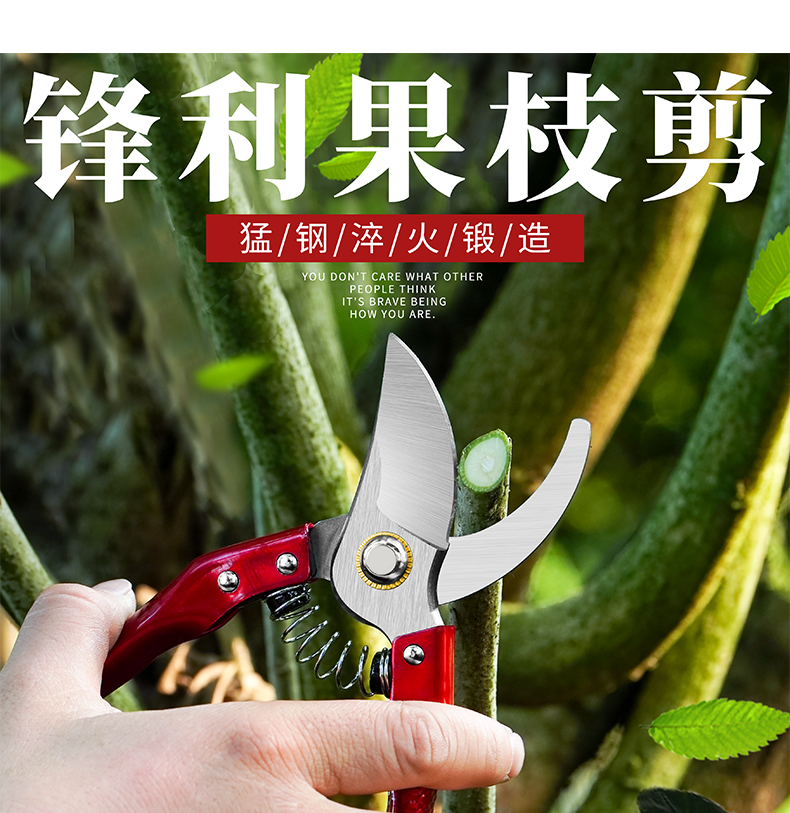 修枝剪刀果树枝修花剪刀盆景园艺工具修剪花木强力花艺剪打枝剪