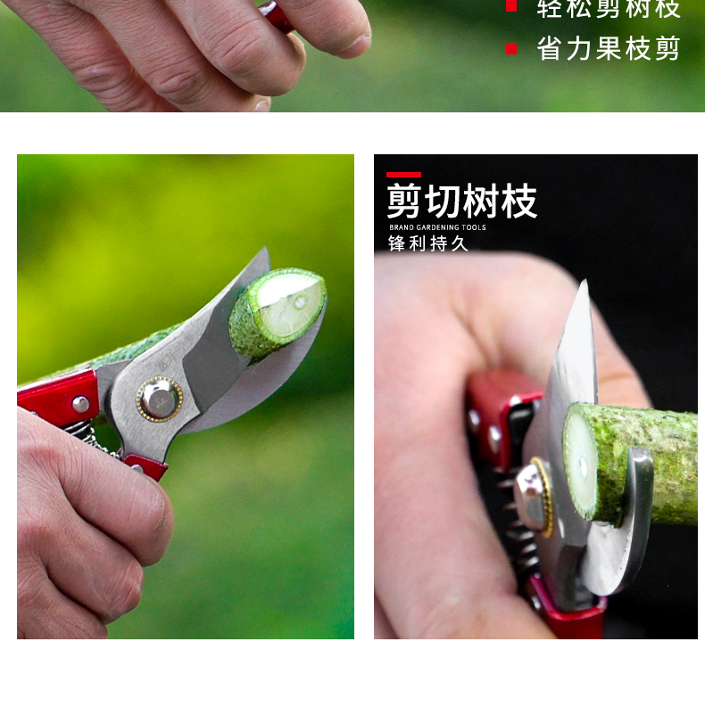 修枝剪刀果树枝修花剪刀盆景园艺工具修剪花木强力花艺剪打枝剪