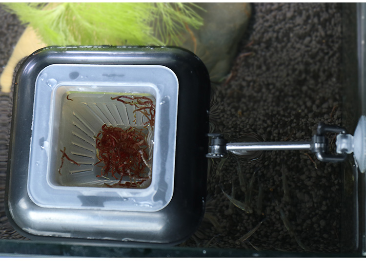 鱼缸多功能红虫杯丰年虾喂食器小型鱼定点投喂器自动悬浮喂食圈