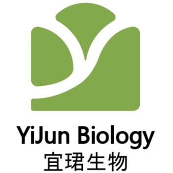 西安宜珺生物科技有限公司