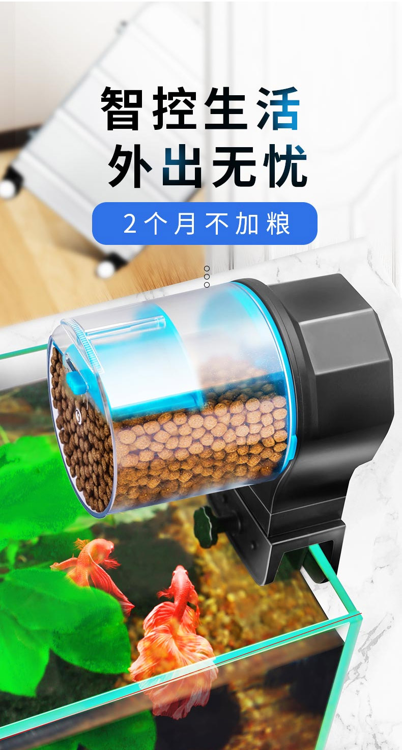 乌龟自动喂食器自制图片