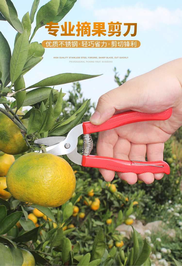 功能单个装规格2690货号袋装包装23产品编码日用用途多仓发货地2600