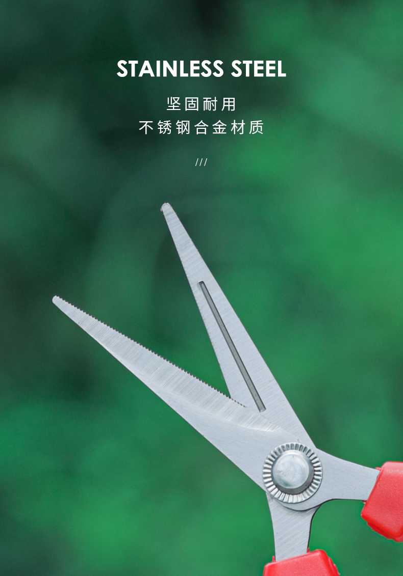 不锈钢摘果剪园艺剪刀修枝剪葡萄火龙果蔬果剪采摘花椒神器专用剪