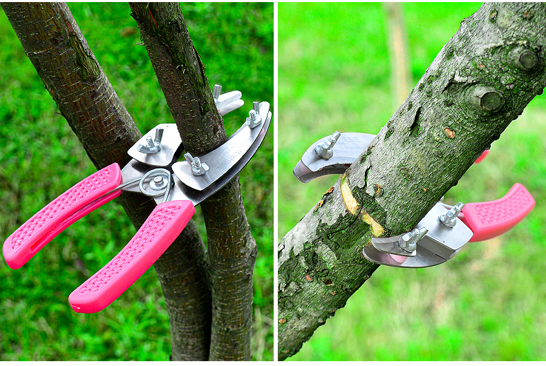 可调节柑橘葡萄枣树苹果树环剥剪割树皮刀果树环割刀环剥钳环剥刀
