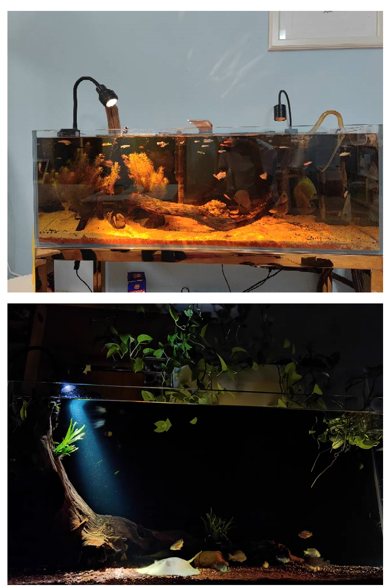 南美鱼缸灯全光谱小型照明灯led防水夹灯三色水草灯鱼缸射灯变焦