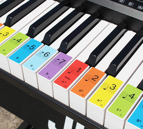 钢琴电子琴键位贴 五线谱简谱电子琴键贴纸 儿童电子琴自学入门