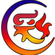 中采阀业（天津）有限公司