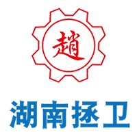 湖南拯卫建设科技有限公司 - 公司logo