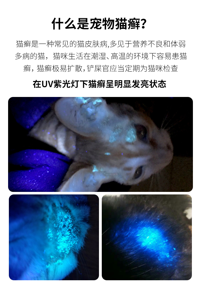 伍德氏灯照猫藓宠物猫尿真菌检测手电筒紫外线荧光剂紫光家用验钞