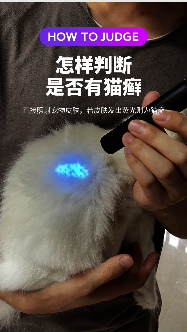 伍德氏灯照猫藓宠物狗猫尿真菌荧光剂紫外线检测紫光验钞手电筒