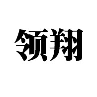 山东领翔新材料有限公司
