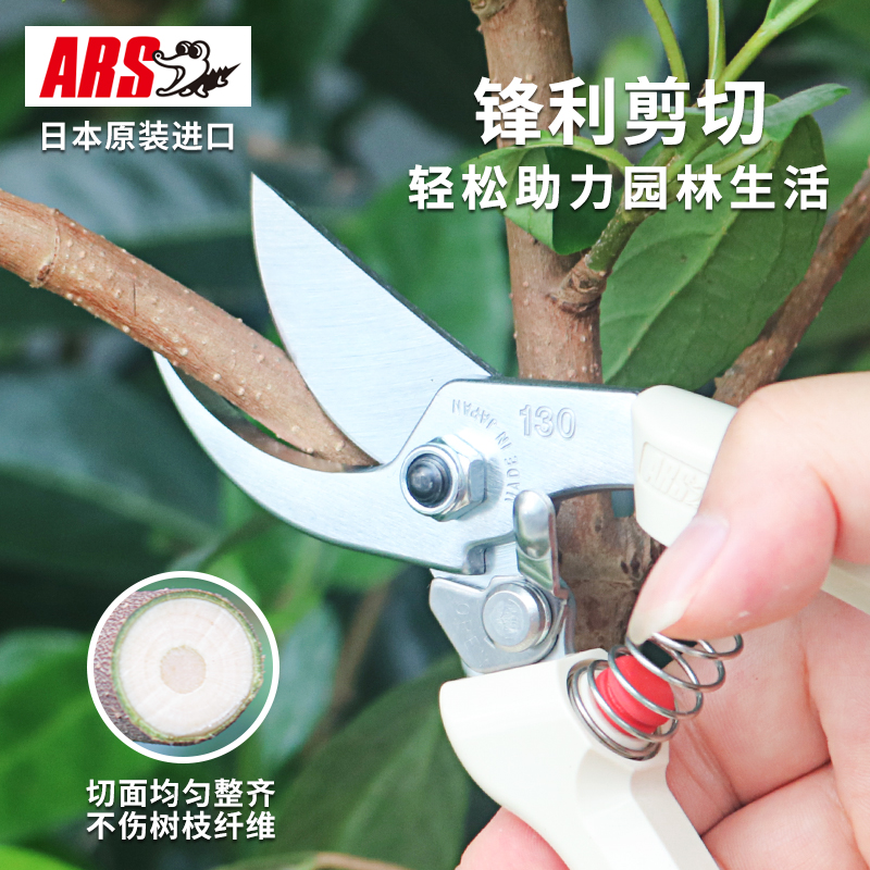日本进口ARS爱丽斯修枝剪爱丽丝剪枝剪刀果树修剪树枝园艺园林剪 产品关键词:日本爱丽丝修枝剪公司;爱丽丝园艺剪;爱丽丝园艺