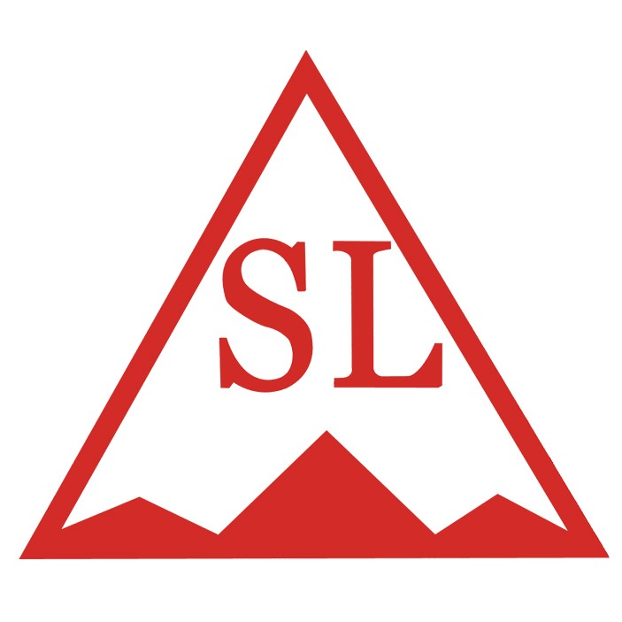 东莞市盛利机电有限公司 - 公司logo