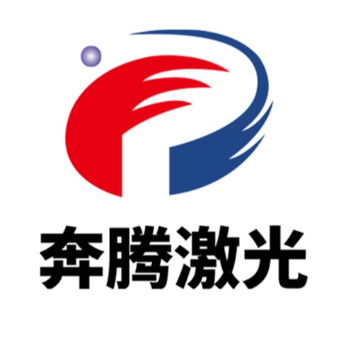 奔腾激光(浙江)股份有限公司 - 公司logo
