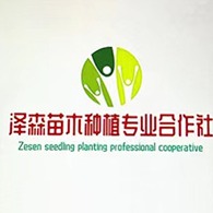 绛县泽森苗木种植专业合作社