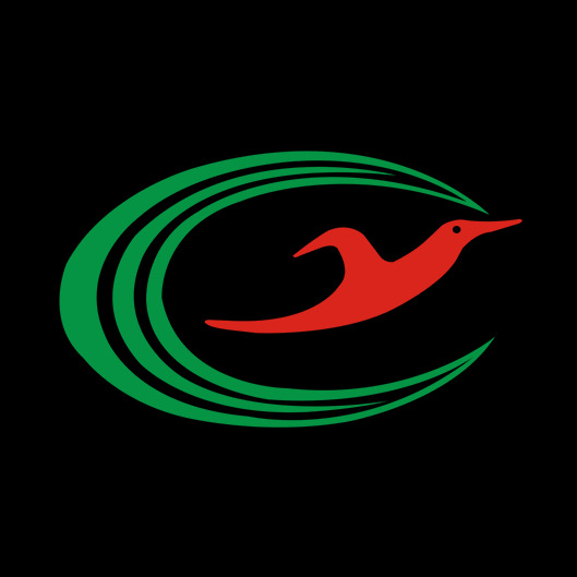 广东创雅声学科技有限公司