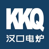 武汉市汉口电炉有限责任公司