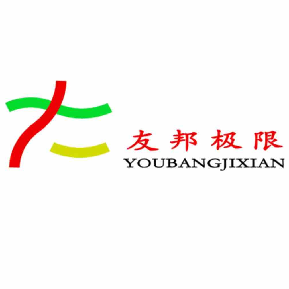 大丰友邦极限运动场地建设有限公司