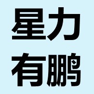 上海星力有鹏仓储服务有限公司 - 公司logo