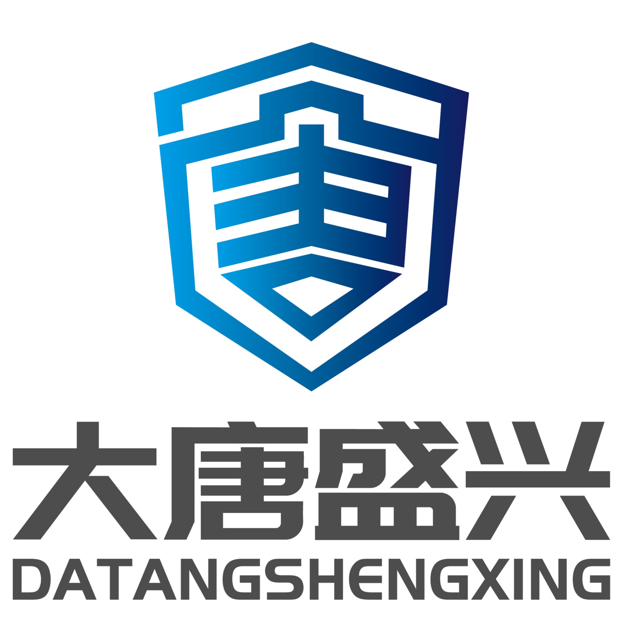 北京市大唐盛兴科技发展有限公司