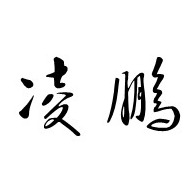 北京凌鹏科技有限公司 - 公司logo