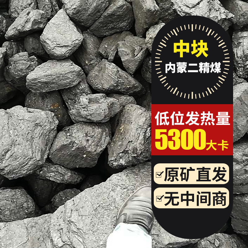 二精煤 大块 籽煤 烤烟 烤茶 取暖 电煤 烘干4/9四九 块煤