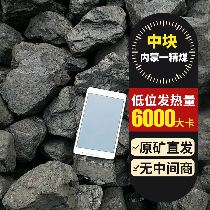 一精煤 原矿直发低位发热6000煤 蒸汽锅炉13籽 支持预定