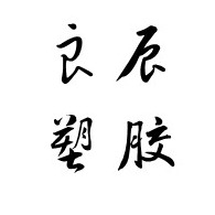 深圳市良辰塑胶电子有限公司 - 公司logo