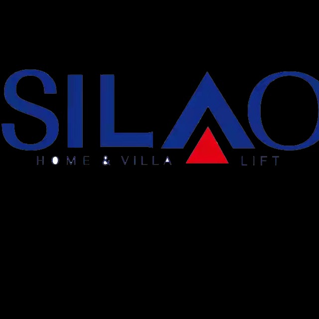 山东斯奥电梯有限公司 - 公司logo