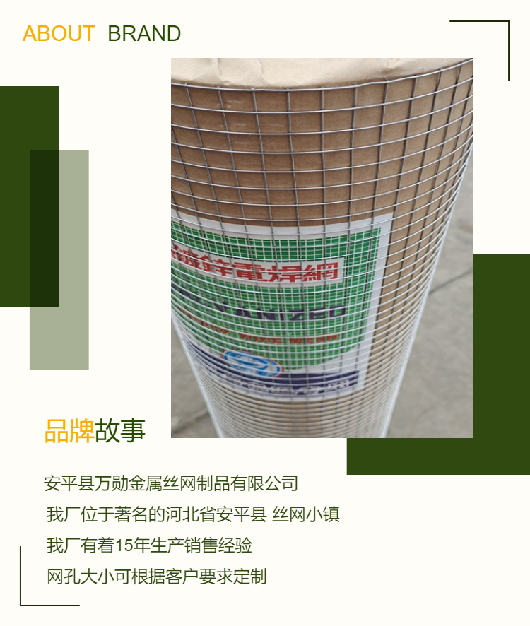 Wanxun Galvanized Iron Bright Wire Steel Wire Mesh Factory Building External Wall Smoke Pipe Iron Wire Mesh Welding Mesh Factory Approval