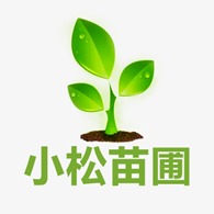 开原市小松苗圃