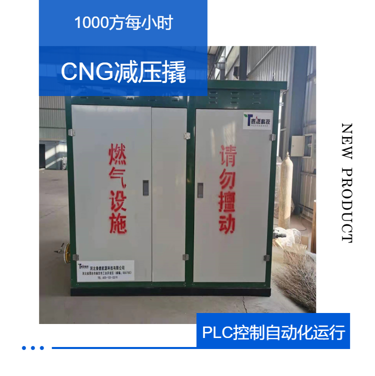 Manufacturer with complete procedures for supplying 1000 cubic meters of CNG natural gas pressure regulating skid and CNG pressure reducing skid installation station