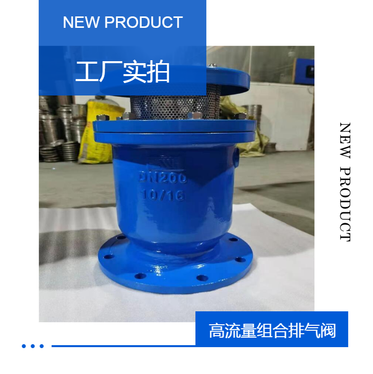 Xinhong Valve High Flow Combination Exhaust Valve GWP Quick Exhaust Flange Stainless Steel Outlet