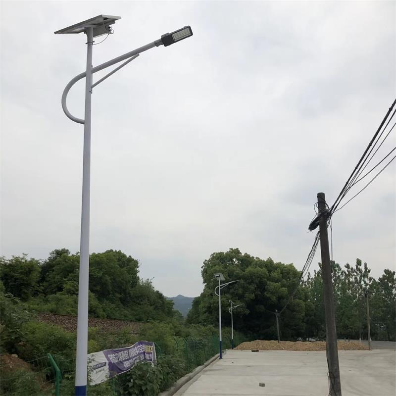 Xinyonghong Ethnic Characteristic Rural Road Lighting 100W Single Arm Integrated Street Lamp